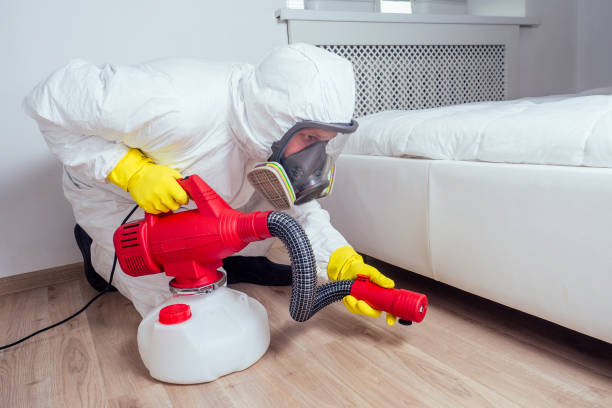 Best Termite Control Services  in Bountiful, UT